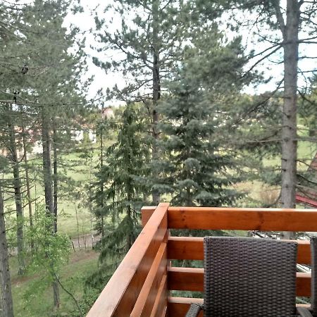 Apartman Nana Svetogorska 19 ,Stan 17 Zlatibor Exteriér fotografie