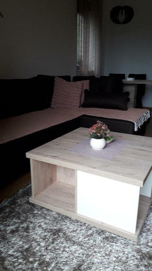 Apartman Nana Svetogorska 19 ,Stan 17 Zlatibor Exteriér fotografie