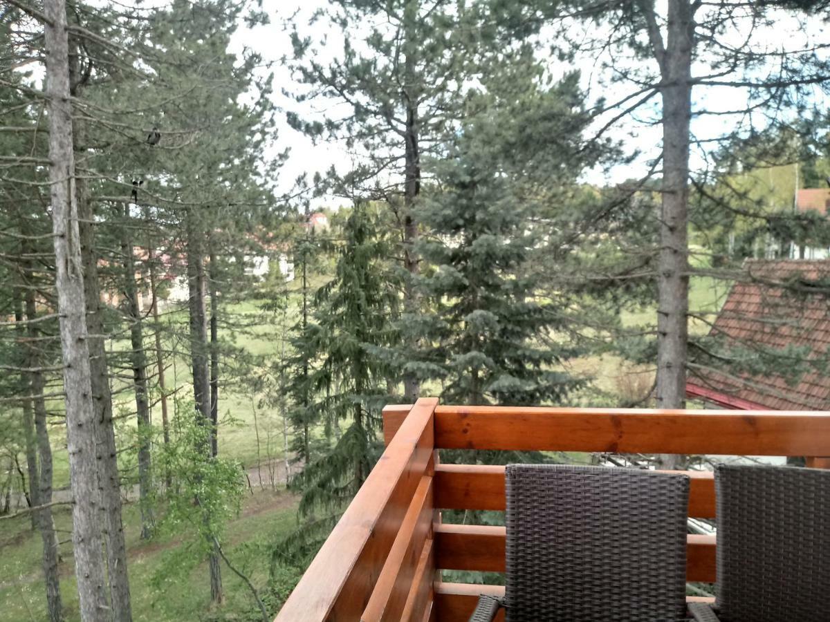 Apartman Nana Svetogorska 19 ,Stan 17 Zlatibor Exteriér fotografie