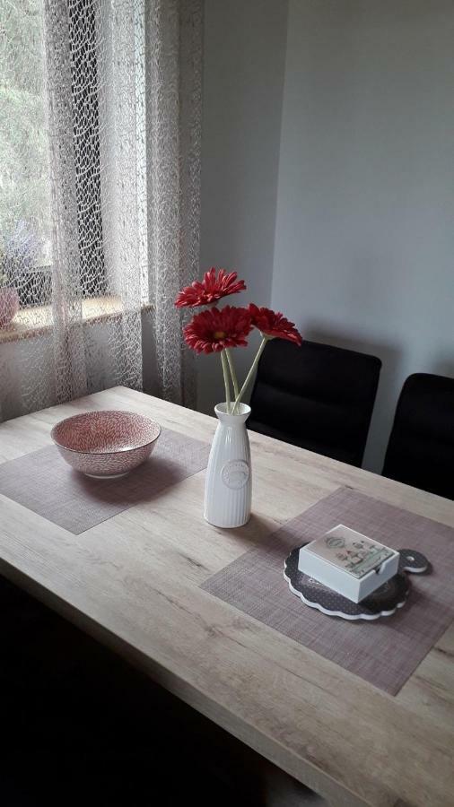Apartman Nana Svetogorska 19 ,Stan 17 Zlatibor Exteriér fotografie