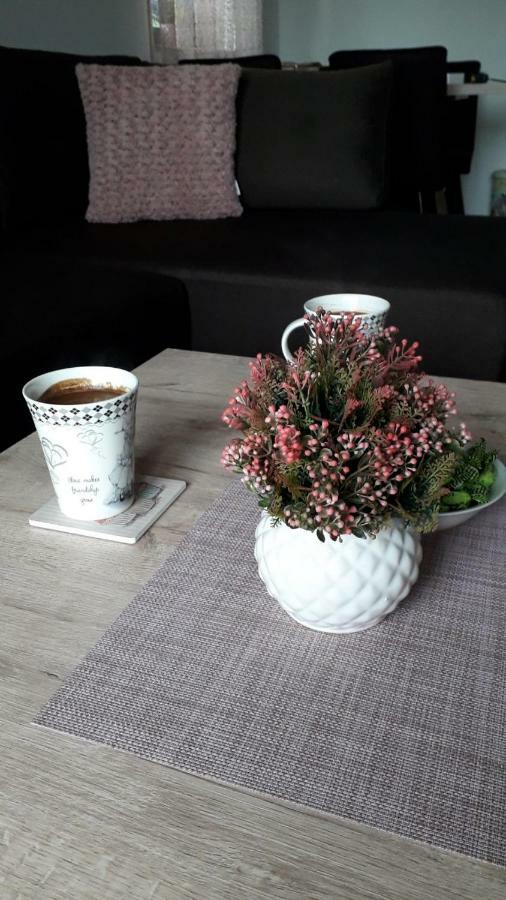 Apartman Nana Svetogorska 19 ,Stan 17 Zlatibor Exteriér fotografie