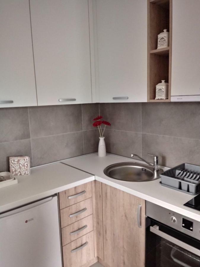 Apartman Nana Svetogorska 19 ,Stan 17 Zlatibor Exteriér fotografie