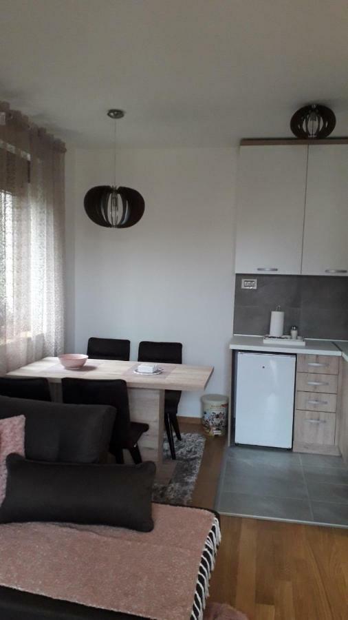 Apartman Nana Svetogorska 19 ,Stan 17 Zlatibor Exteriér fotografie
