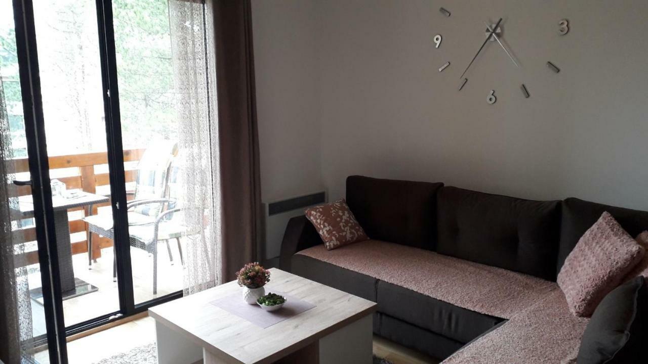Apartman Nana Svetogorska 19 ,Stan 17 Zlatibor Exteriér fotografie