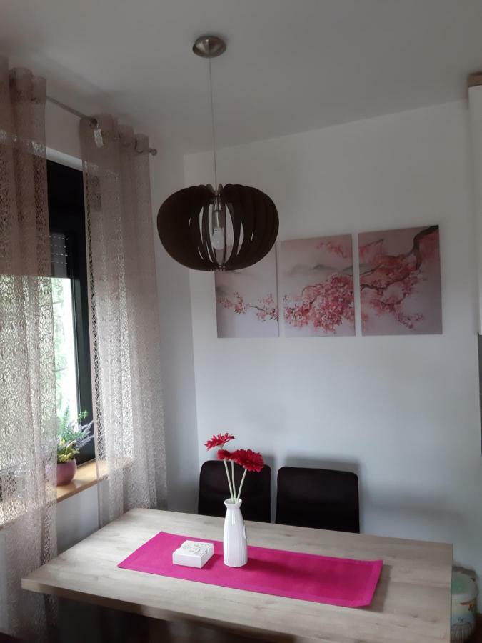 Apartman Nana Svetogorska 19 ,Stan 17 Zlatibor Exteriér fotografie