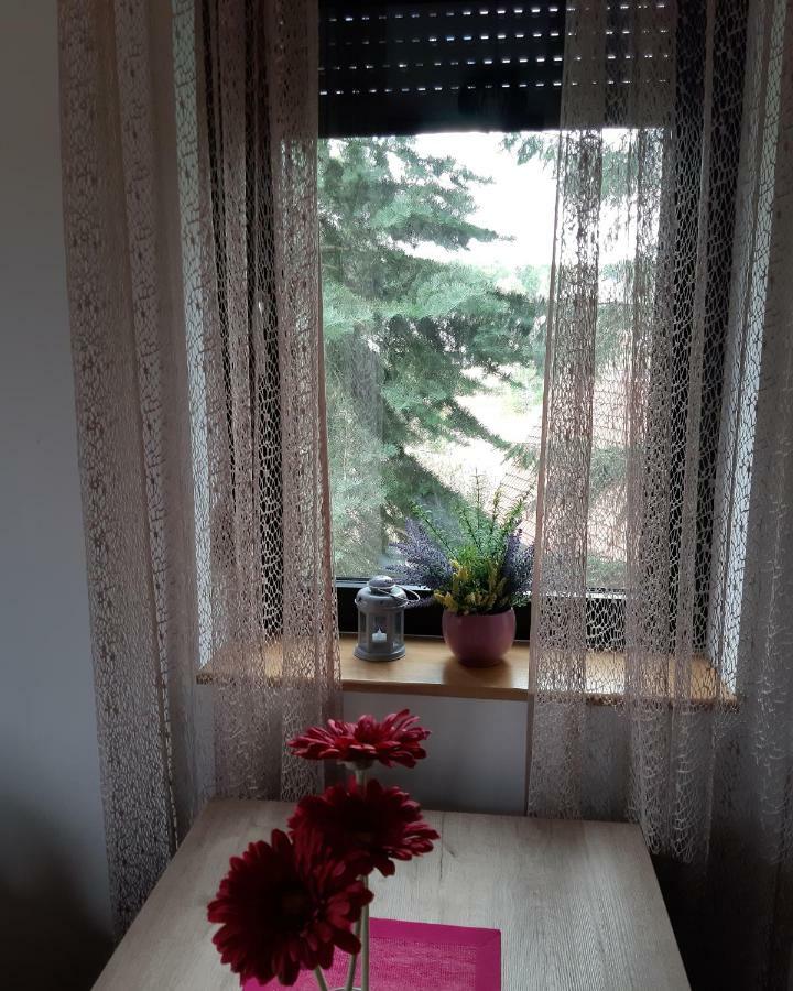Apartman Nana Svetogorska 19 ,Stan 17 Zlatibor Exteriér fotografie