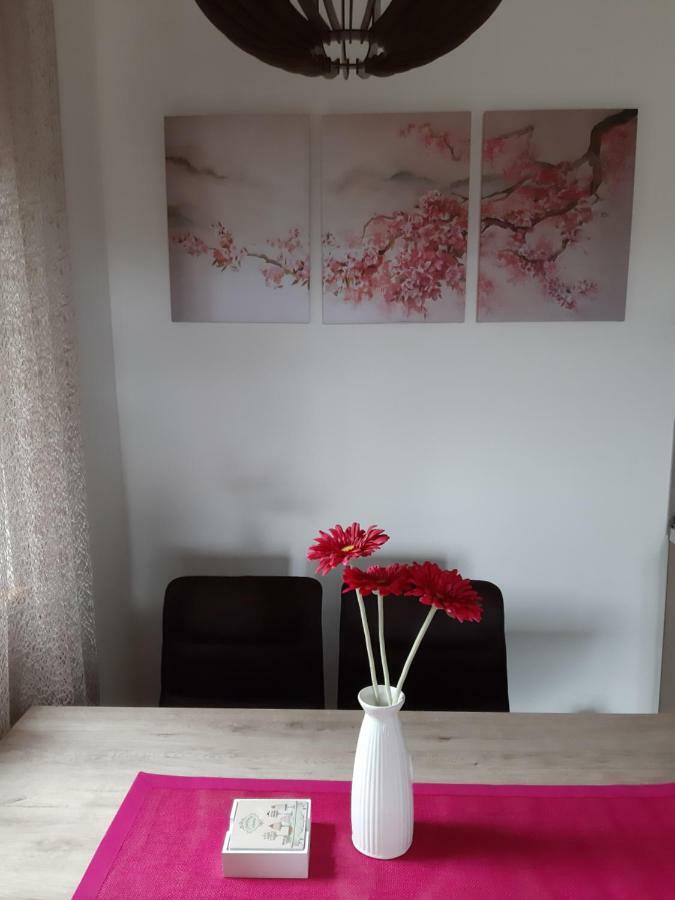 Apartman Nana Svetogorska 19 ,Stan 17 Zlatibor Exteriér fotografie