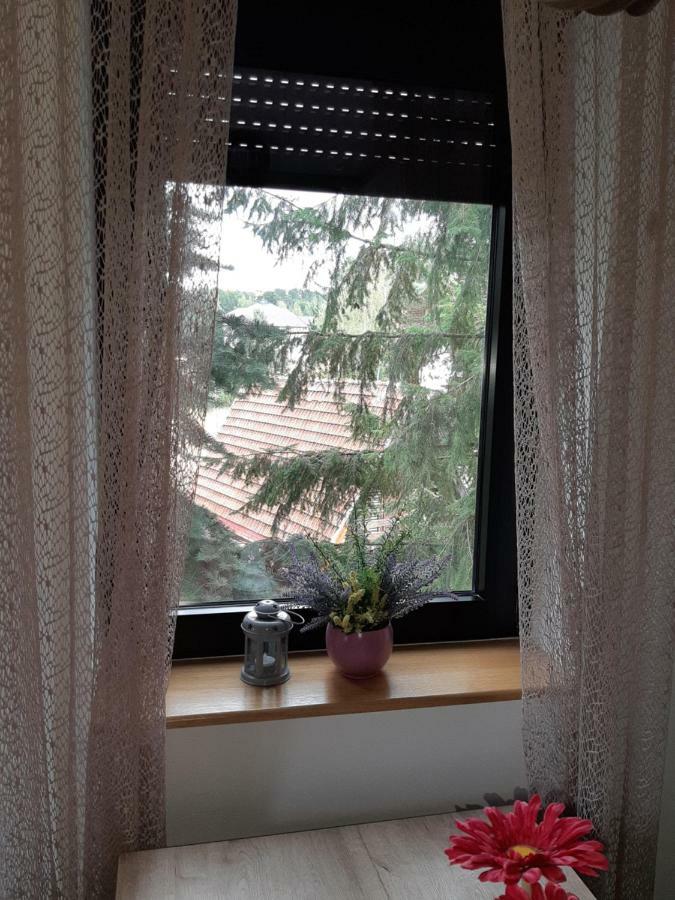 Apartman Nana Svetogorska 19 ,Stan 17 Zlatibor Exteriér fotografie